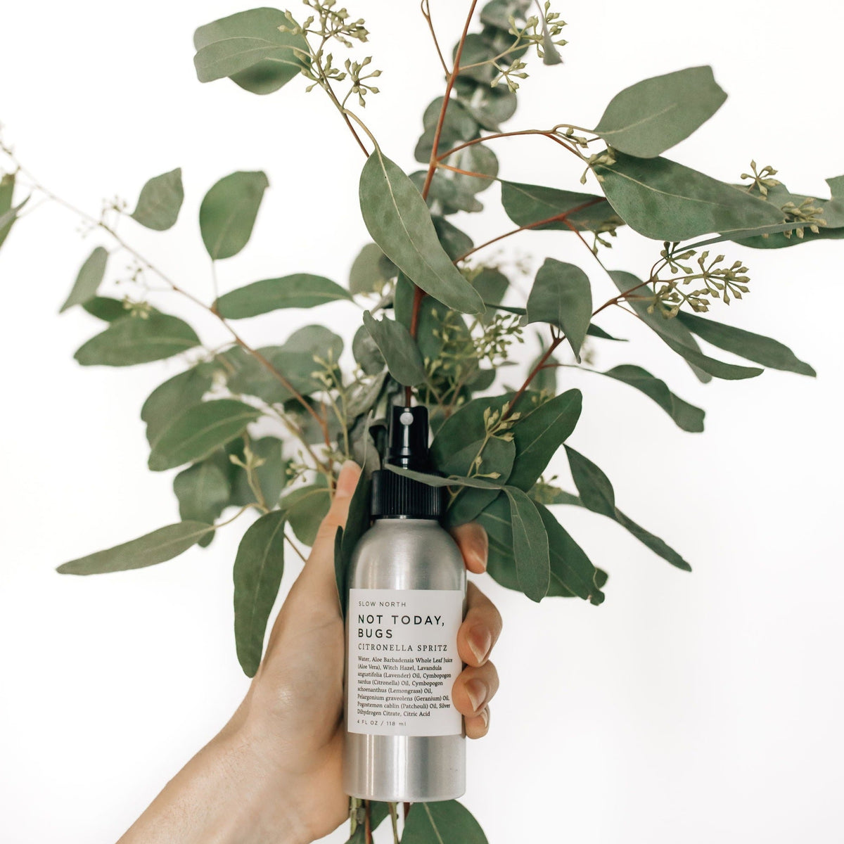 Bug Spray