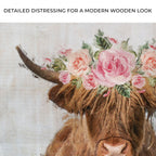 Highland Cow Canvas