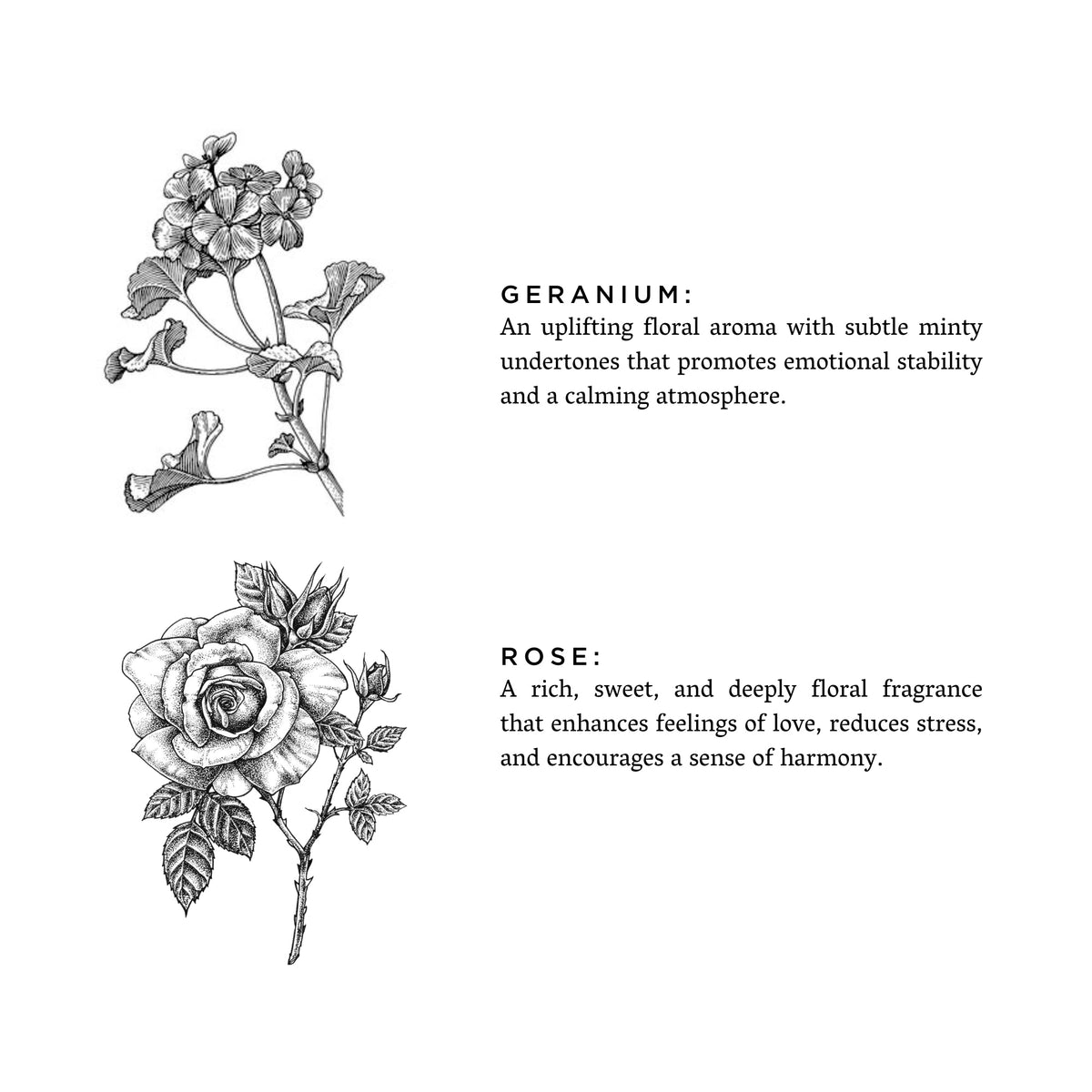 Springtime Geranium Soy Candle