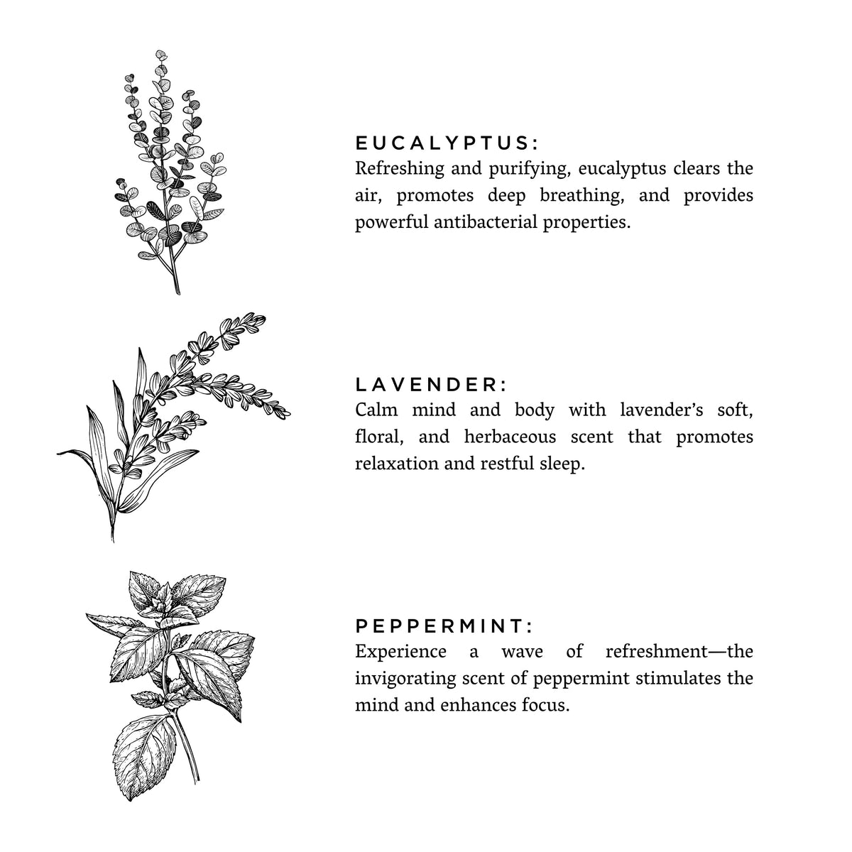 Eucalyptus Lavender Bath Salts