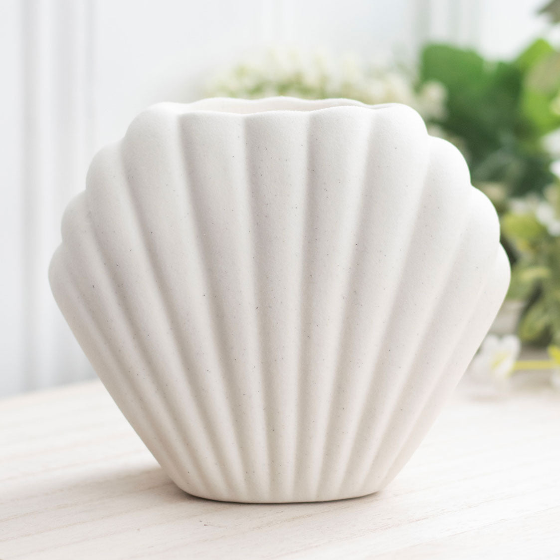 Seashell Wax Warmer